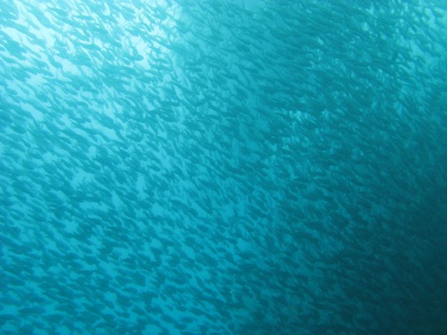 IMG_2569.jpg
