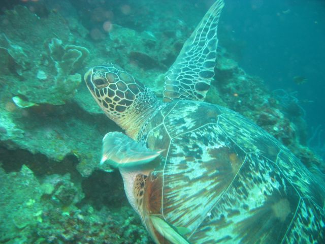 IMG_2582.jpg