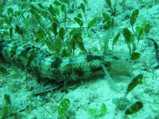 IMG_2641.jpg