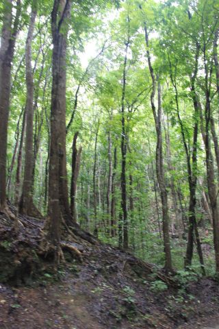 IMG_4253.jpg