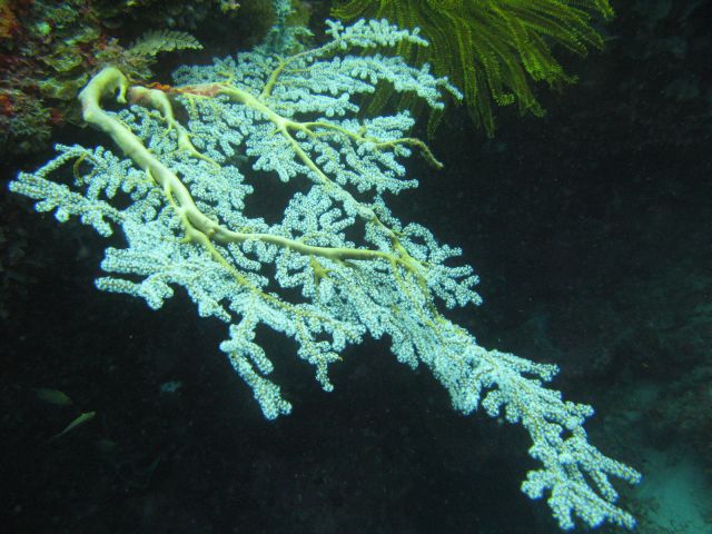 IMG_2800.jpg
