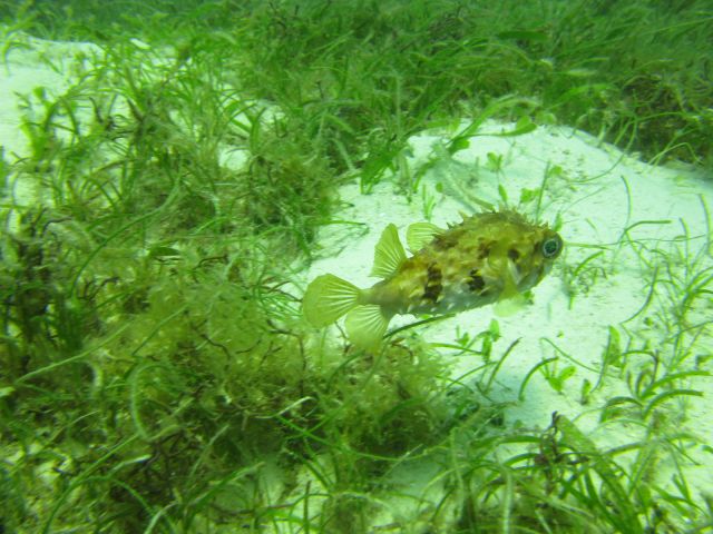 IMG_2789.jpg