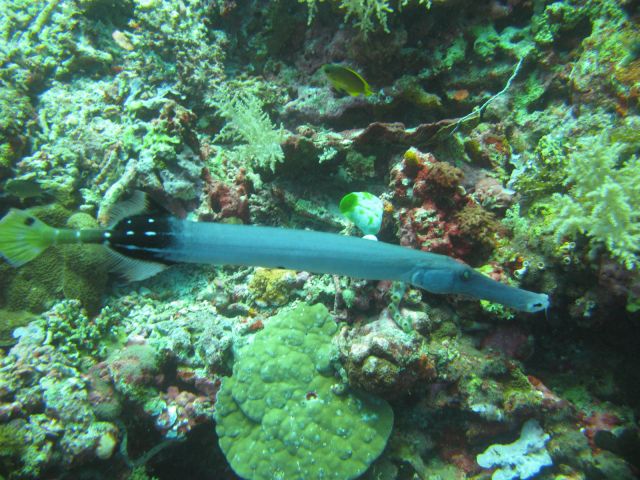 IMG_2820.jpg