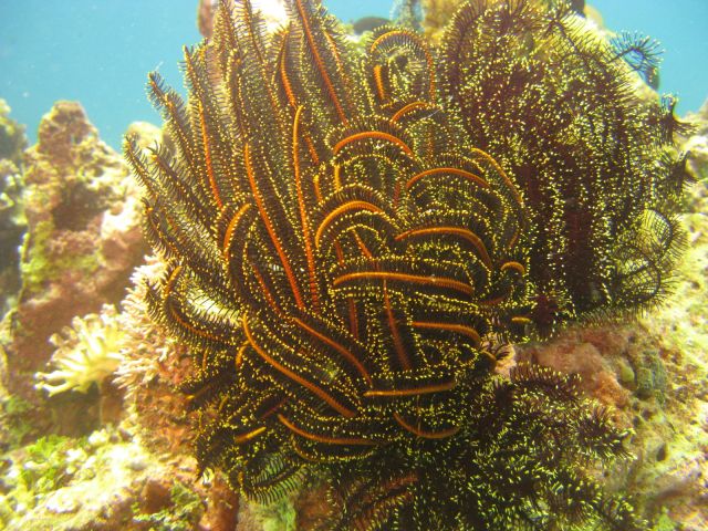 IMG_2827.jpg
