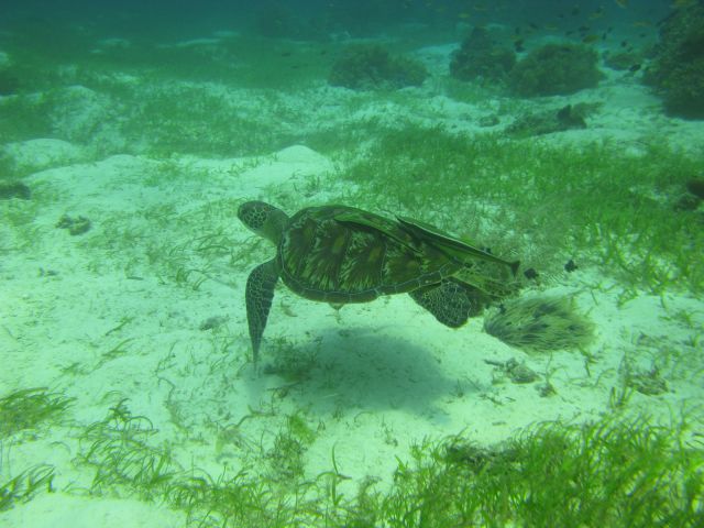 IMG_2784.jpg