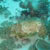 IMG_2755.jpg