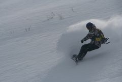 IMG_8074.JPG