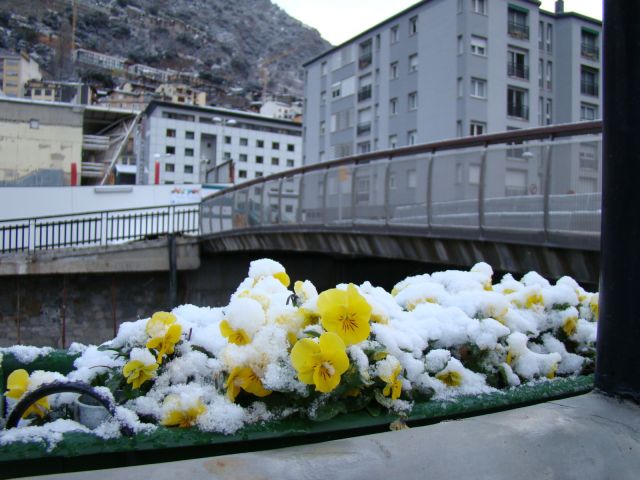 DSC05716.JPG