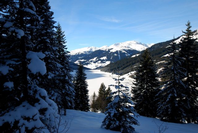 DSC_0264.jpg