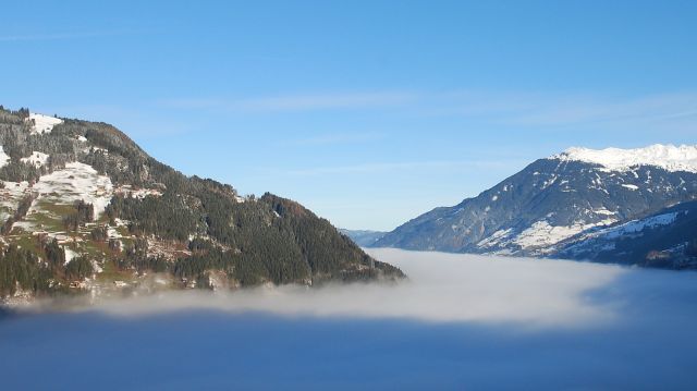 DSC_0227.jpg