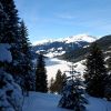 DSC_0264.jpg