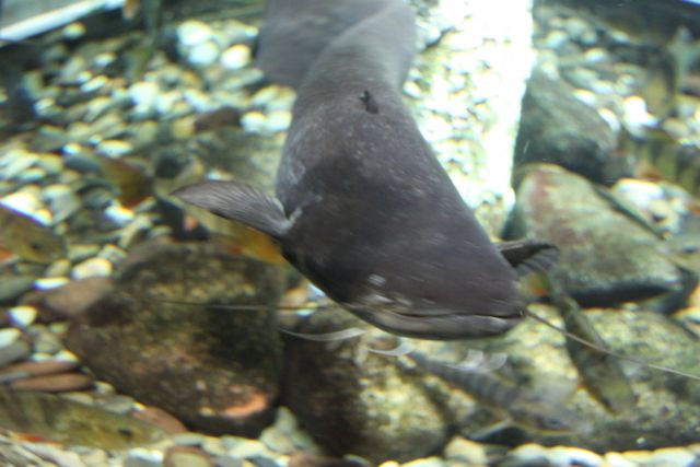 IMG_4421.jpg