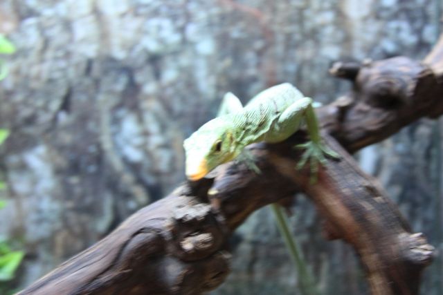 IMG_4424.jpg