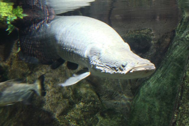 IMG_4452.jpg