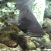 IMG_4421.jpg