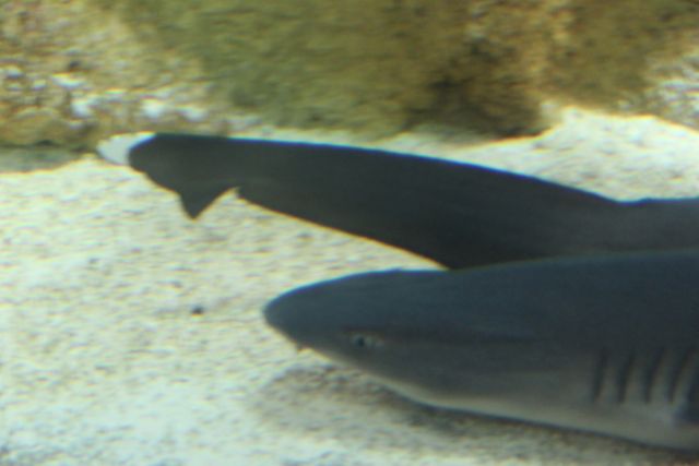 IMG_4479.jpg