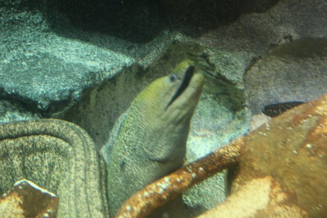 IMG_4503.jpg
