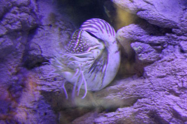 IMG_4494.jpg