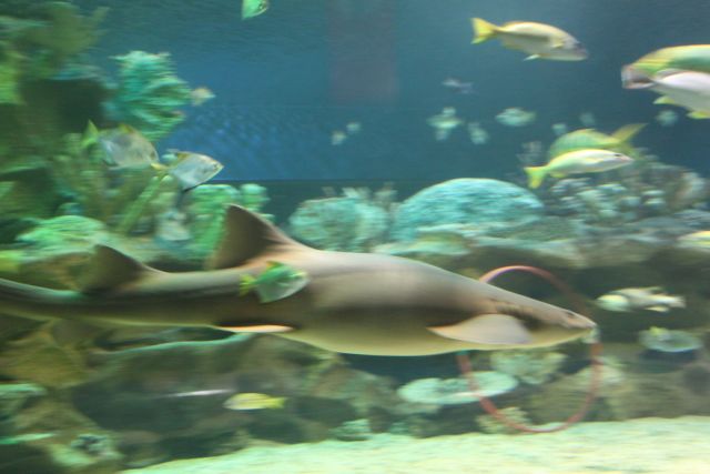 IMG_4538.jpg