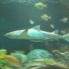 IMG_4533.jpg