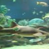 IMG_4538.jpg