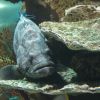 IMG_4544.jpg