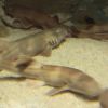 IMG_4523.jpg