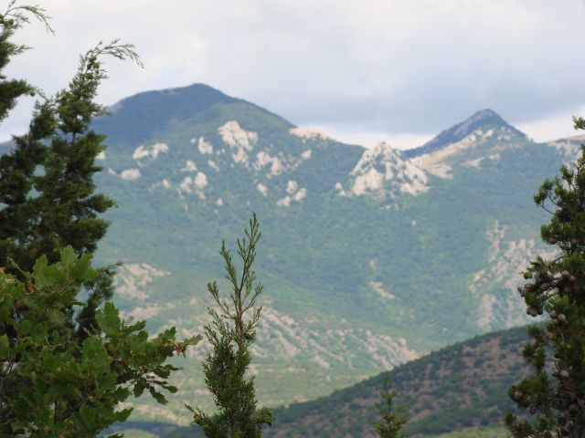 DSC06747.JPG
