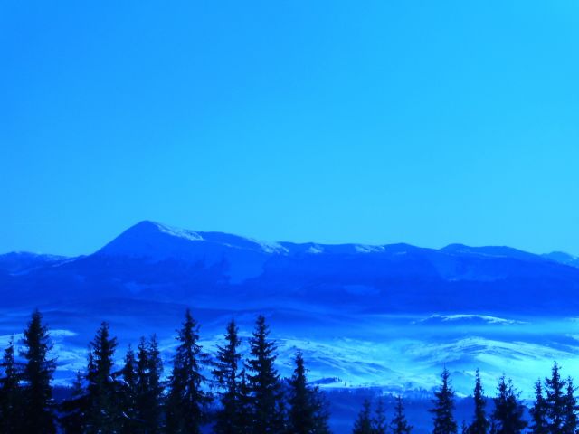 PICT1455.JPG
