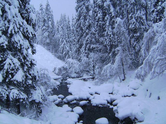PICT3386.JPG
