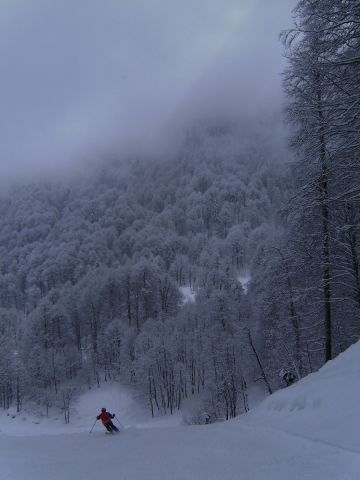 PICT5244.JPG