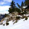 IMG_1496.JPG