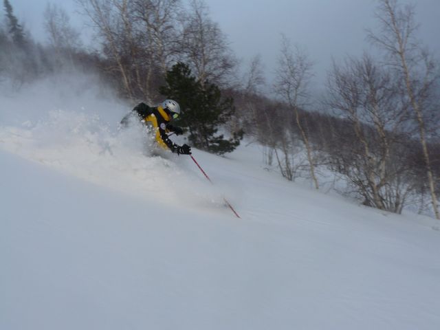 P1100271[1].jpg