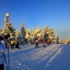 IMG_7828.JPG