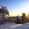 IMG_7856.JPG