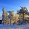 IMG_7849_.JPG