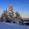 IMG_7883.JPG