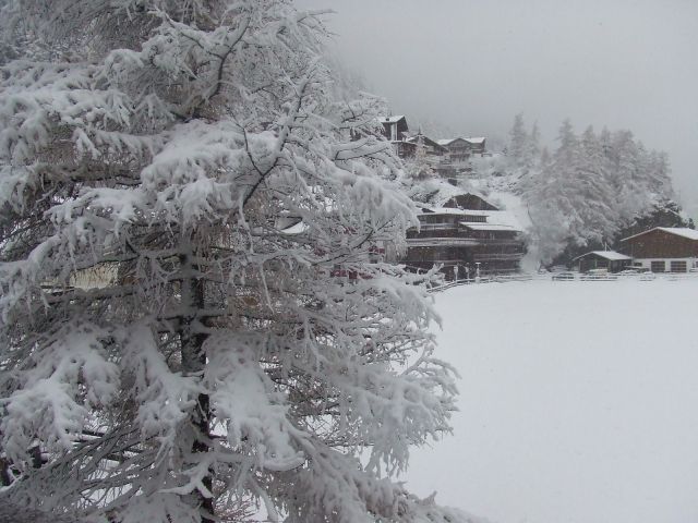 DSCF3030.jpg