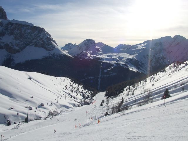 DSCF3377.jpg