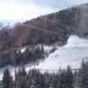 DSCF3388.jpg