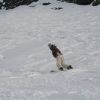 image139.jpg