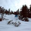 DSC_2739.jpg