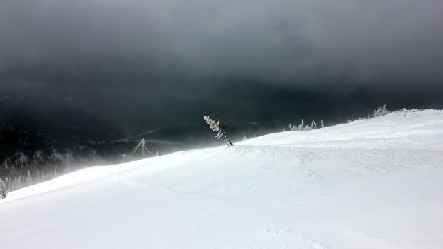 IMG_0726.jpg
