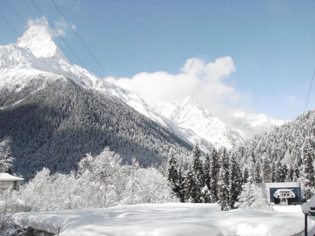 DSC06267.JPG