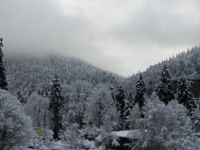DSC06231.JPG