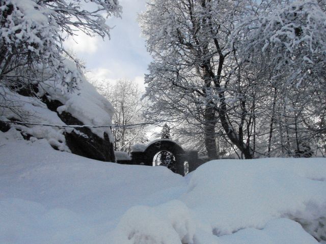 DSC06246.JPG