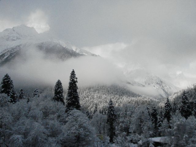 DSC06237.JPG