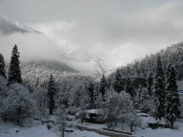 DSC06236.JPG