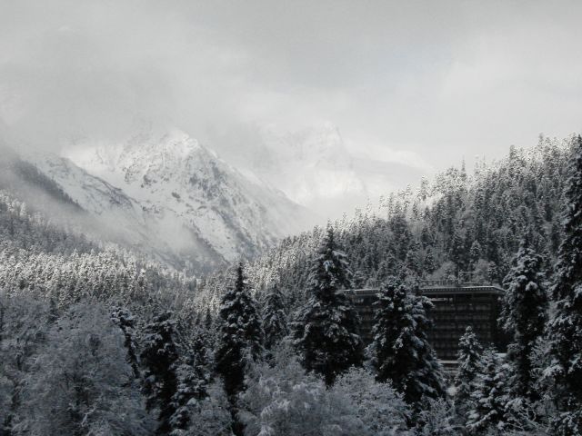 DSC06239.JPG