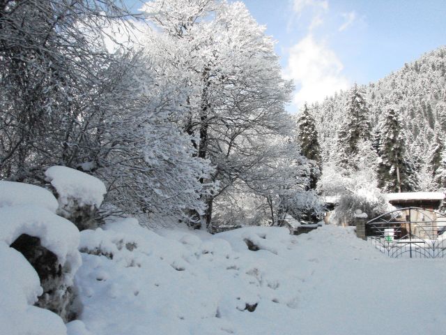 DSC06248.JPG